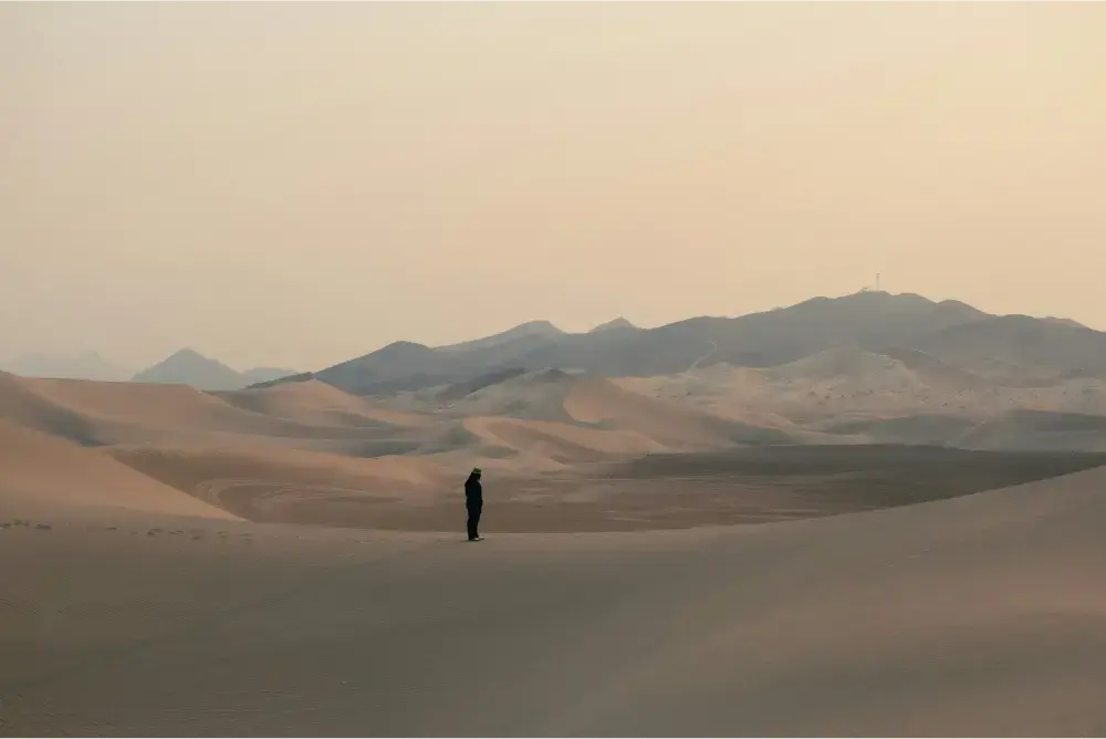 Curiosity-Driven Innovation: Unveiling Tomorrow's Solutions Through Continuous Exploration